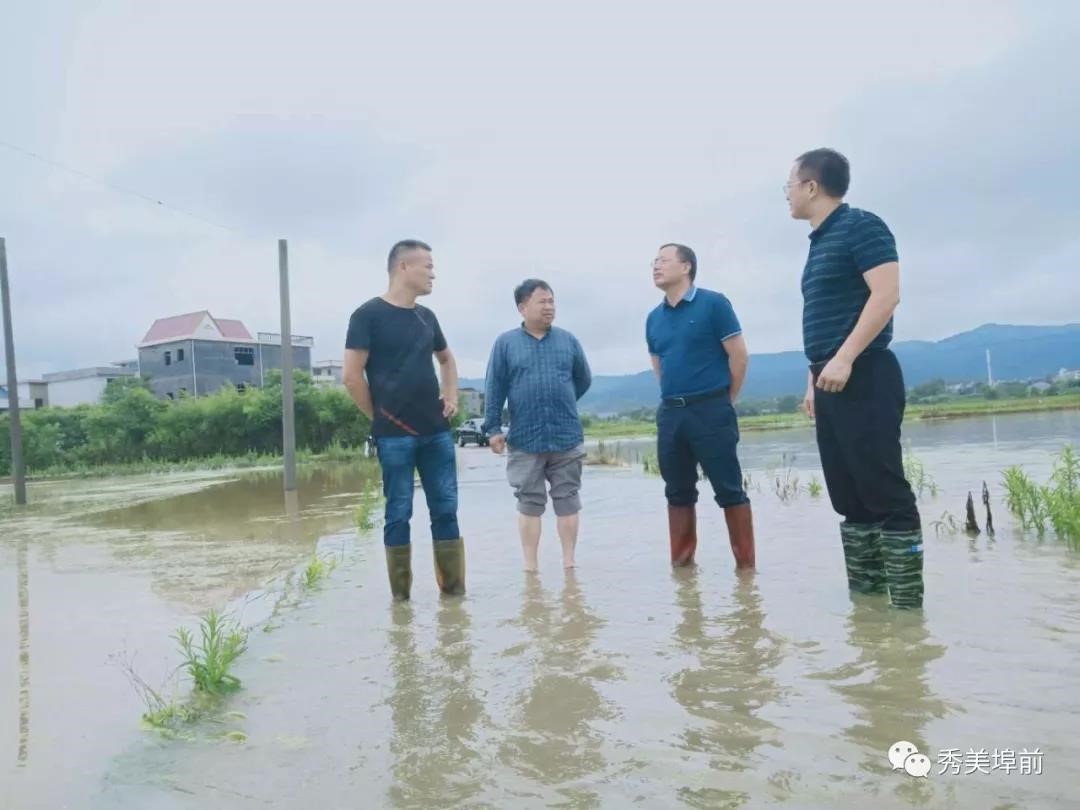 江西省永新县埠前镇全力开展抗洪抢险及灾后防疫工作