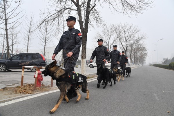 探秘淄博张店公安分局警犬训练基地——警犬,警队里的